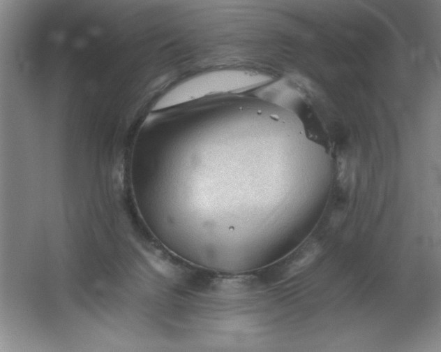 X0000062170072200512231637