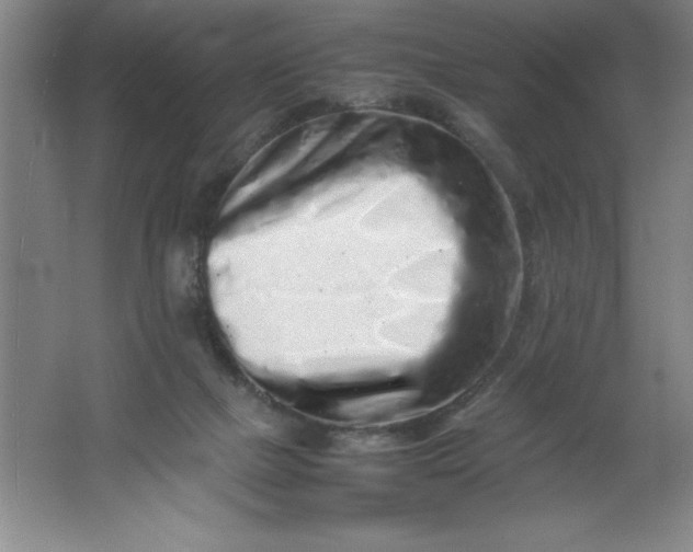 X0000062170073200512231637