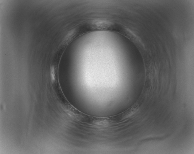 X0000062170075200512231637