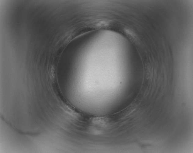 X0000062170077200512231637