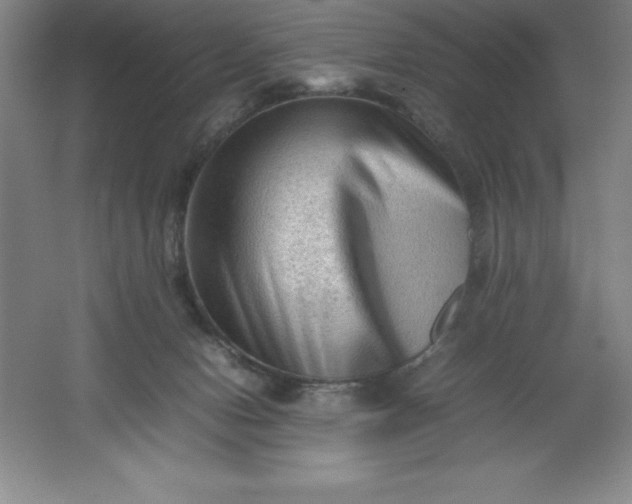 X0000062170078200512231637