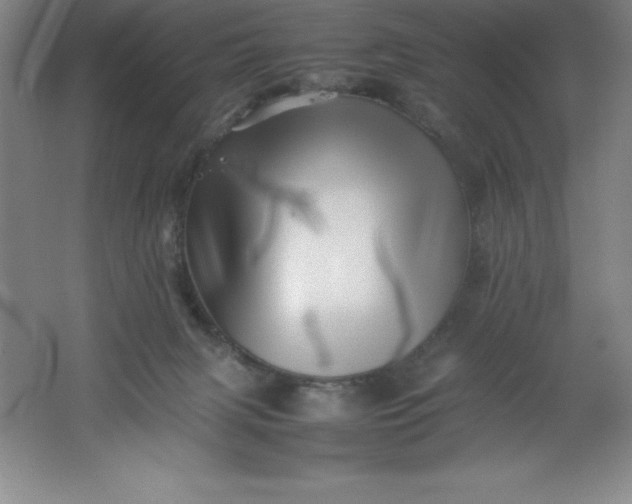 X0000062170079200512231637