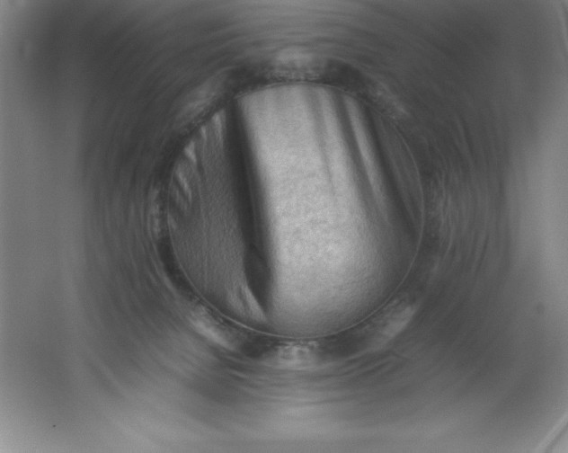 X0000062170080200512231637