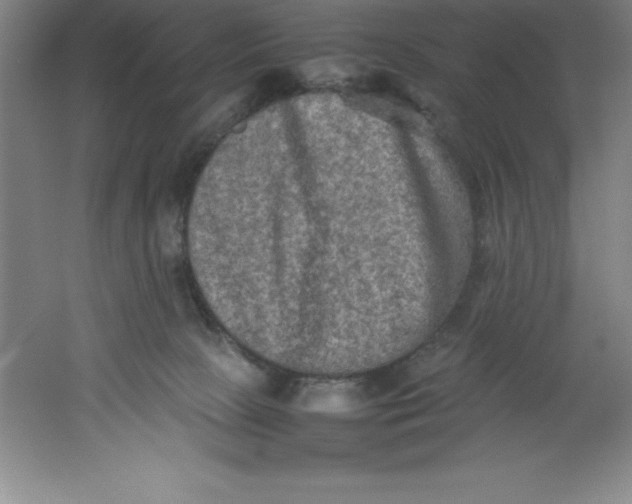 X0000062170081200512231637