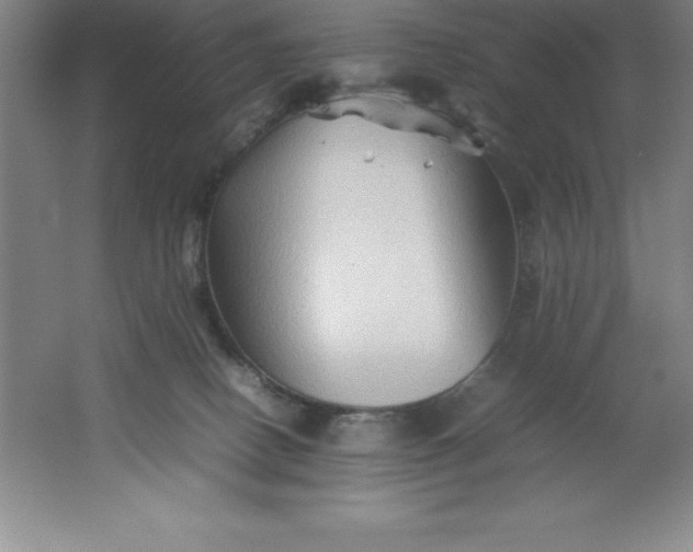 X0000062170082200512231637