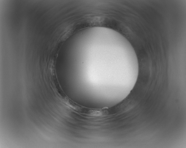 X0000062170083200512231637