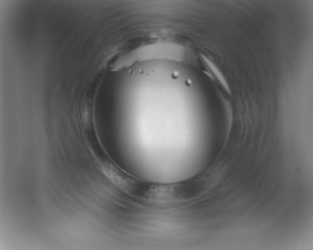 X0000062170084200512231637