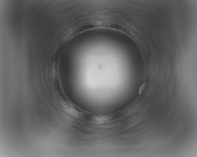 X0000062170085200512231638