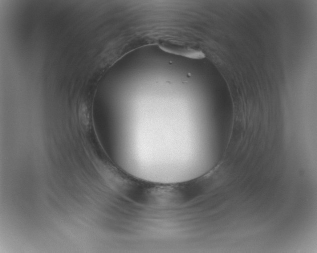 X0000062170086200512231638