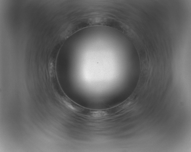 X0000062170087200512231638