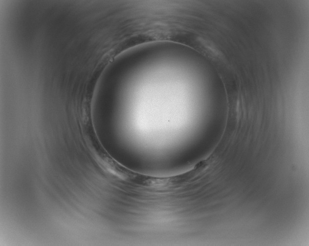 X0000062170088200512231638