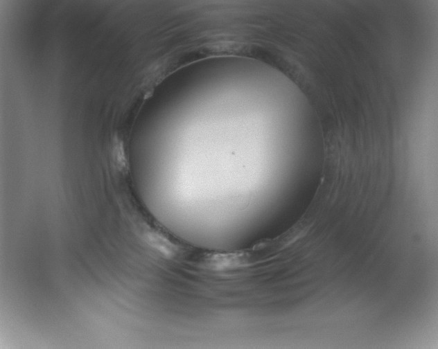 X0000062170089200512231638