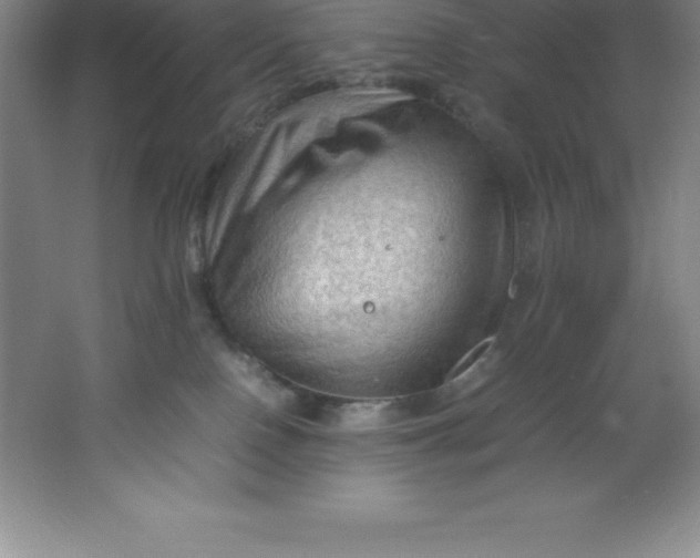 X0000062170090200512231638