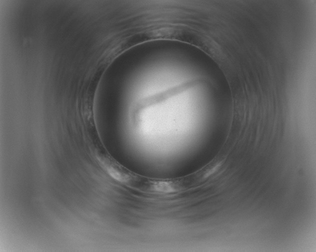 X0000062170091200512231638