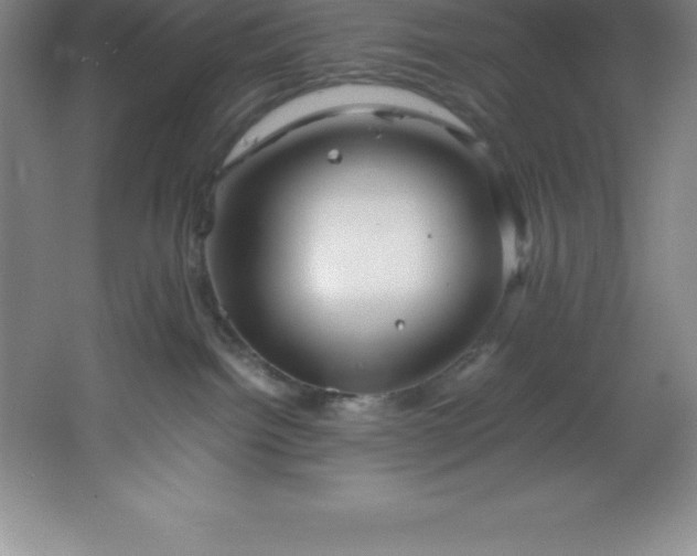 X0000062170092200512231638