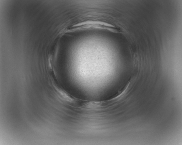 X0000062170094200512231638