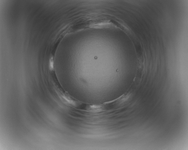 X0000062170095200512231638