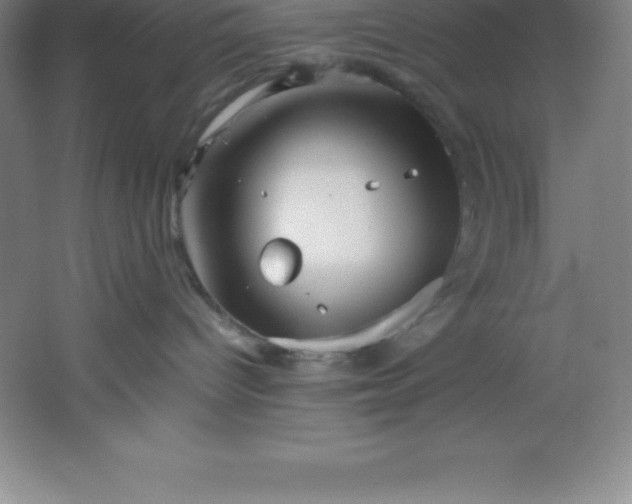 X0000062170096200512231638