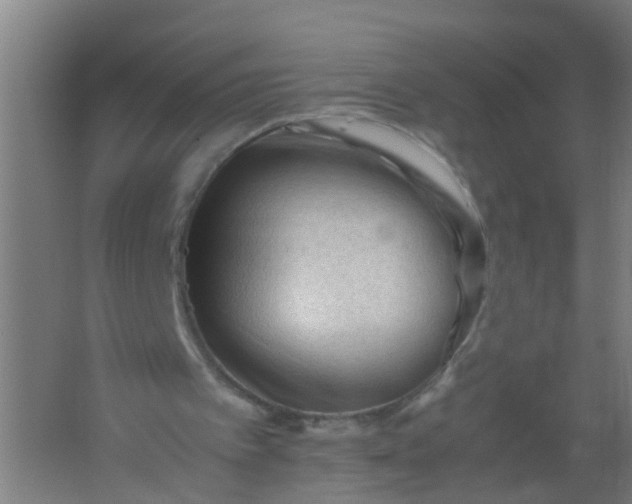 X0000062170097200512231637