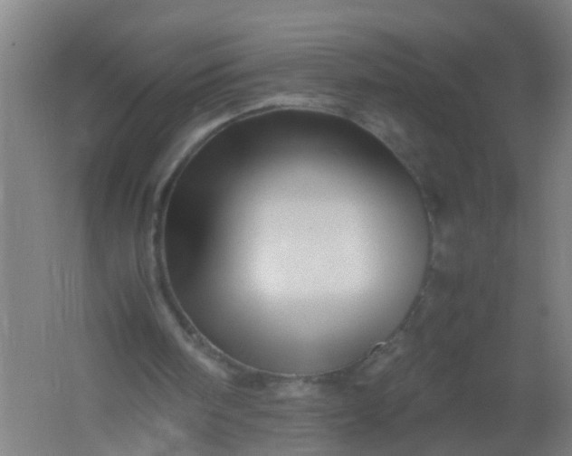 X0000062170098200512231637