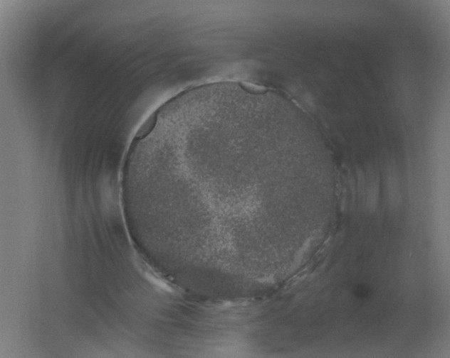 X0000062170100200512231637