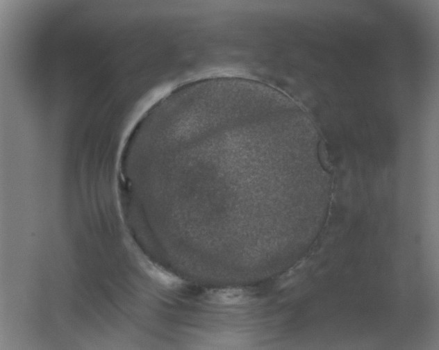 X0000062170104200512231637