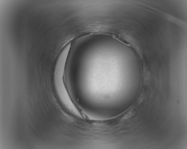 X0000062170105200512231637