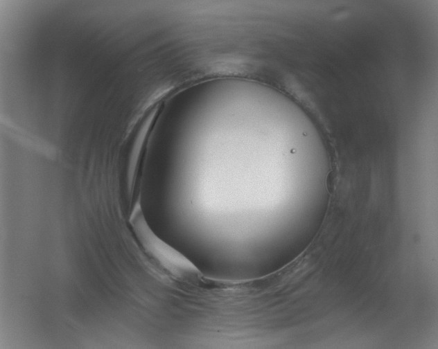 X0000062170106200512231637