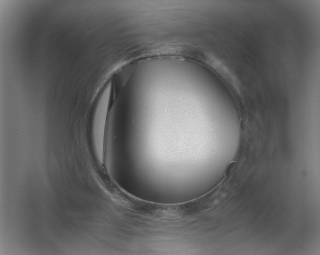 X0000062170107200512231637