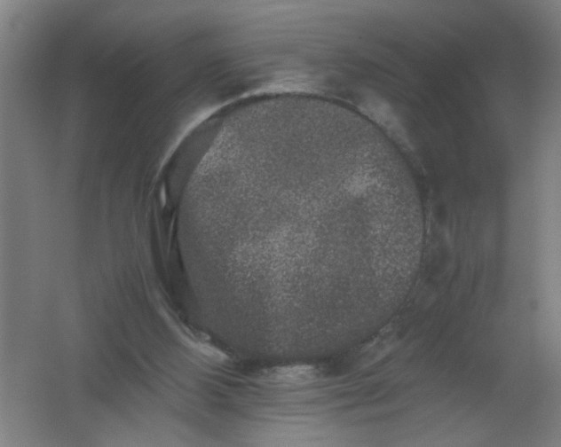 X0000062170108200512231637