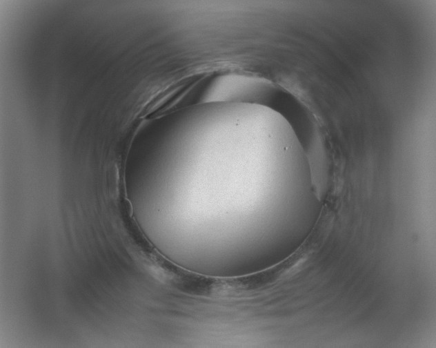 X0000062170109200512231637