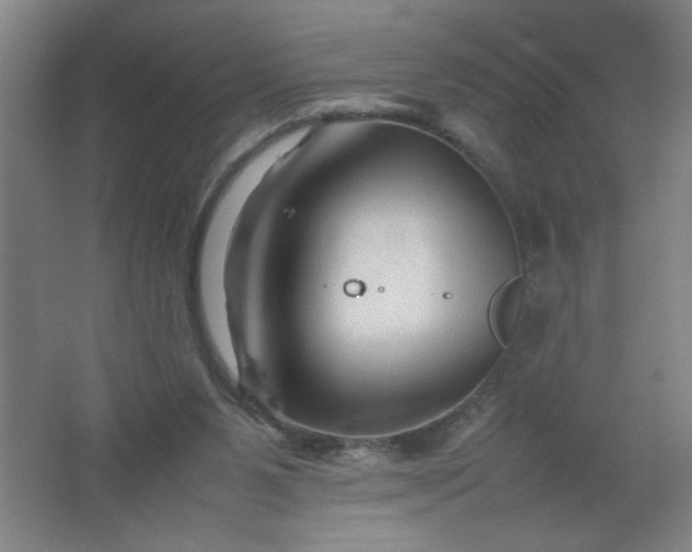 X0000062170111200512231637