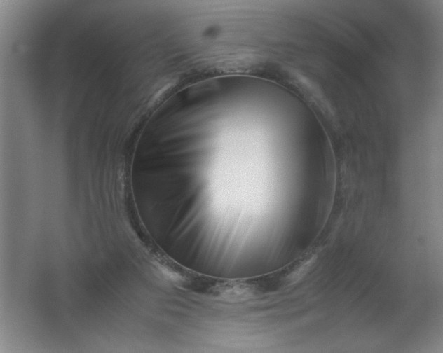 X0000062170113200512231637