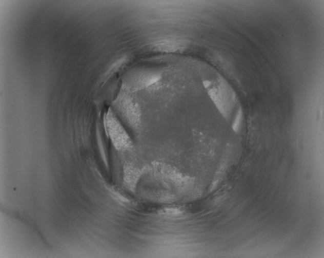 X0000062170114200512231637