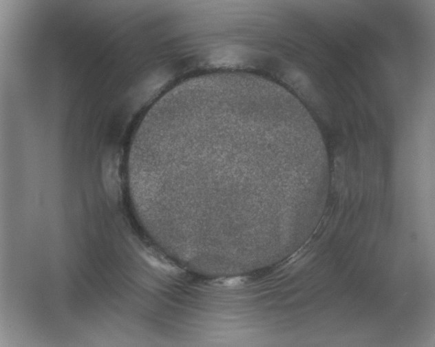 X0000062170116200512231637