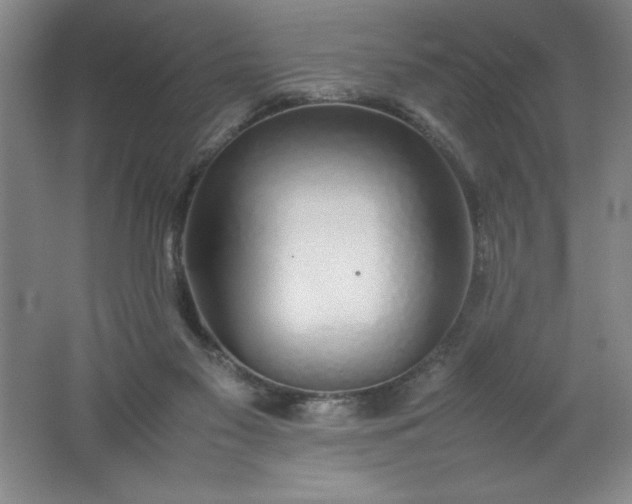 X0000062170117200512231637