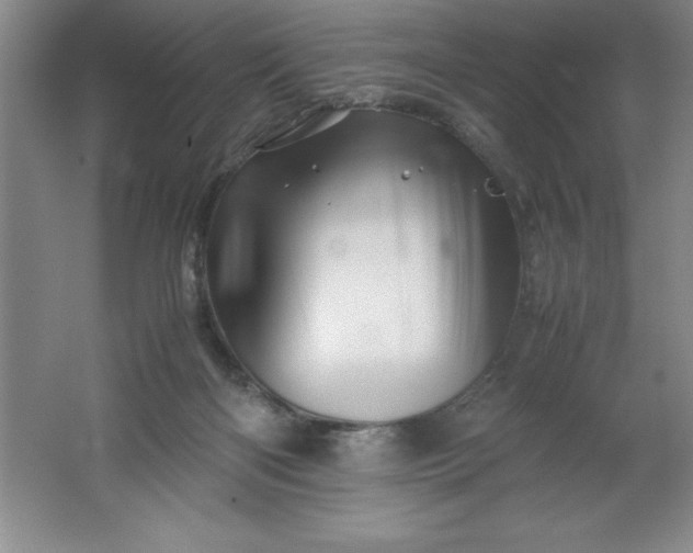 X0000062170122200512231636