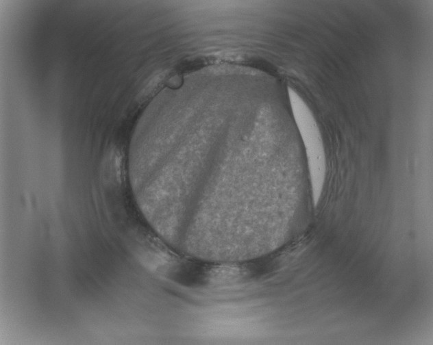 X0000062170123200512231636