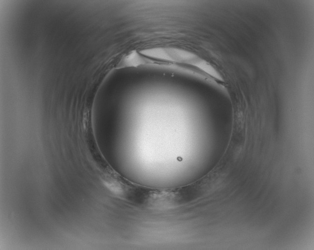 X0000062170125200512231636