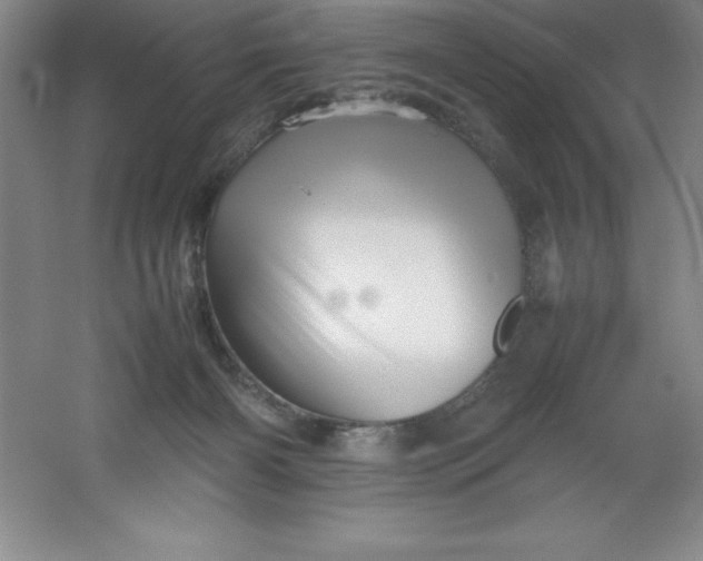 X0000062170126200512231636