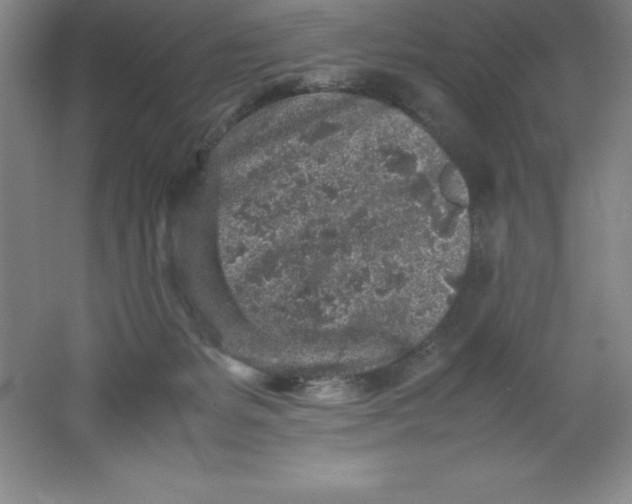 X0000062170127200512231636