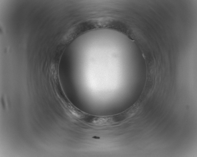 X0000062170129200512231636