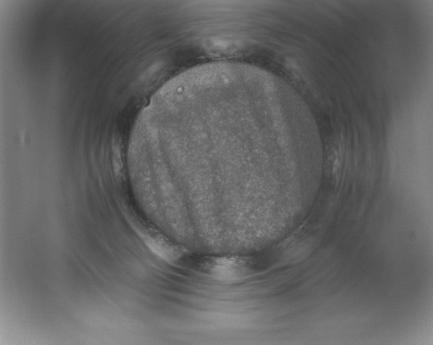 X0000062170130200512231636