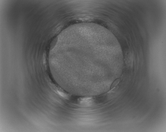 X0000062170132200512231636