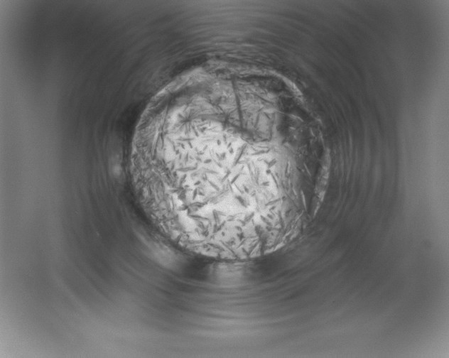 X0000062170134200512231636