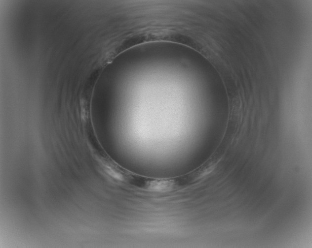 X0000062170135200512231636