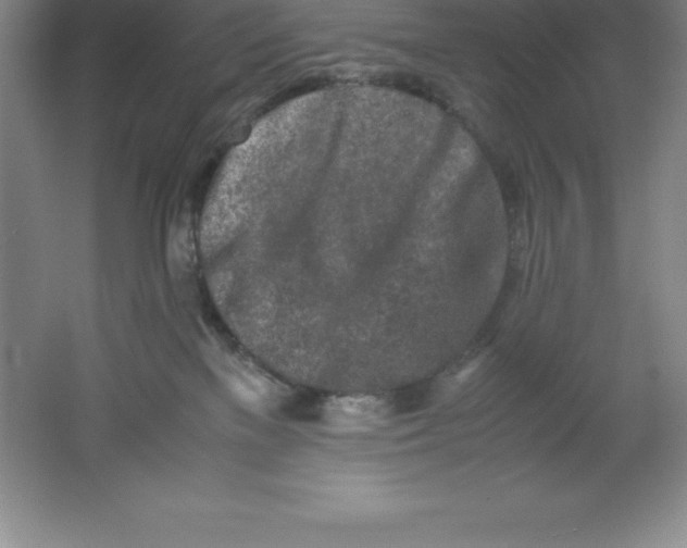 X0000062170137200512231636