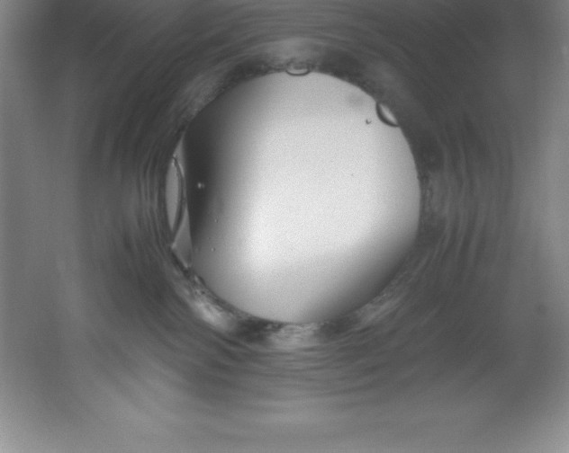 X0000062170138200512231636