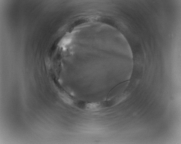 X0000062170139200512231636