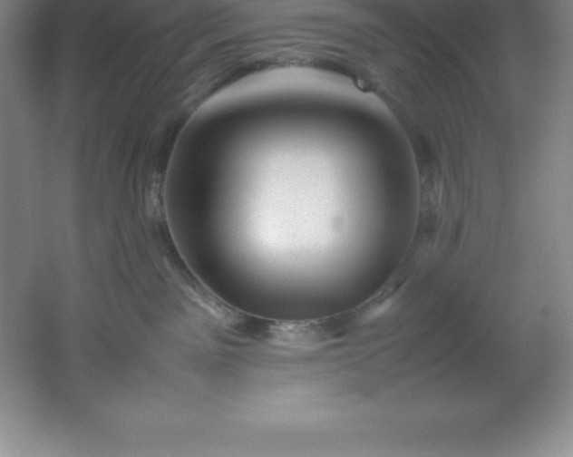 X0000062170141200512231636